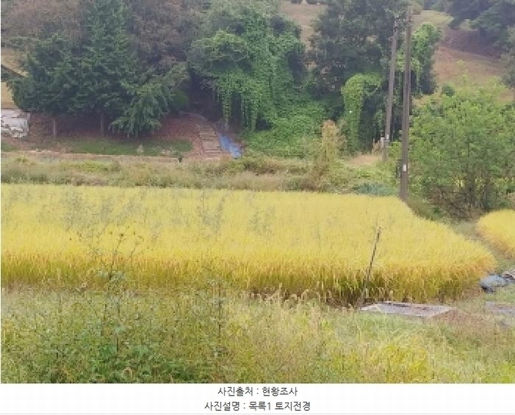 2025타경503424 충청남도 금산군 제원면 금성리 52-1 농지 경매 이미지