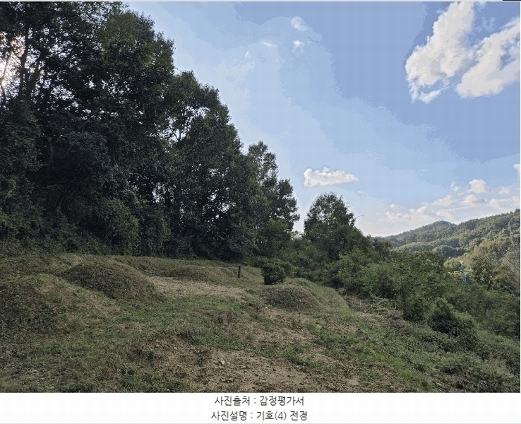 2025타경503424 충청남도 금산군 제원면 금성리 52-1 농지 경매 이미지