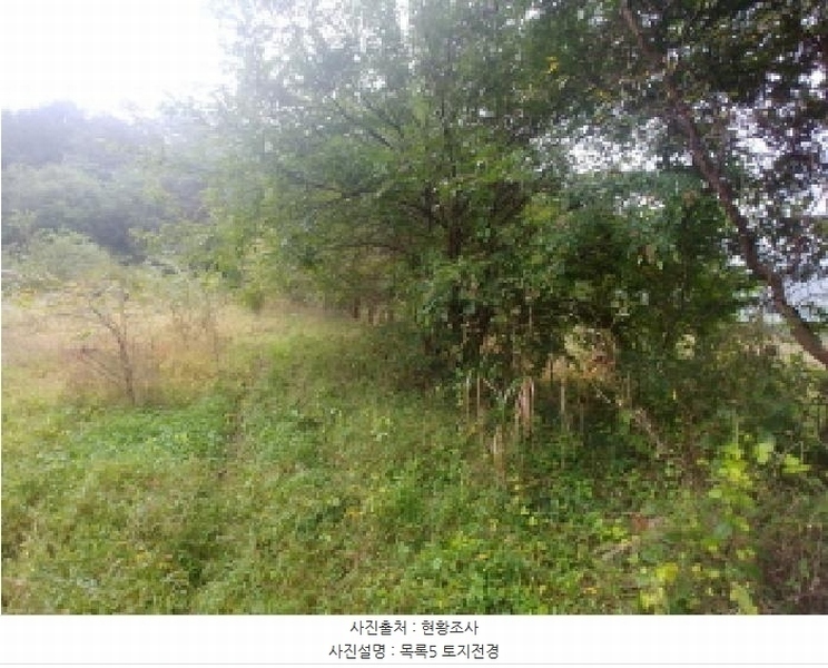 2025타경503424 충청남도 금산군 제원면 금성리 52-1 농지 경매 이미지