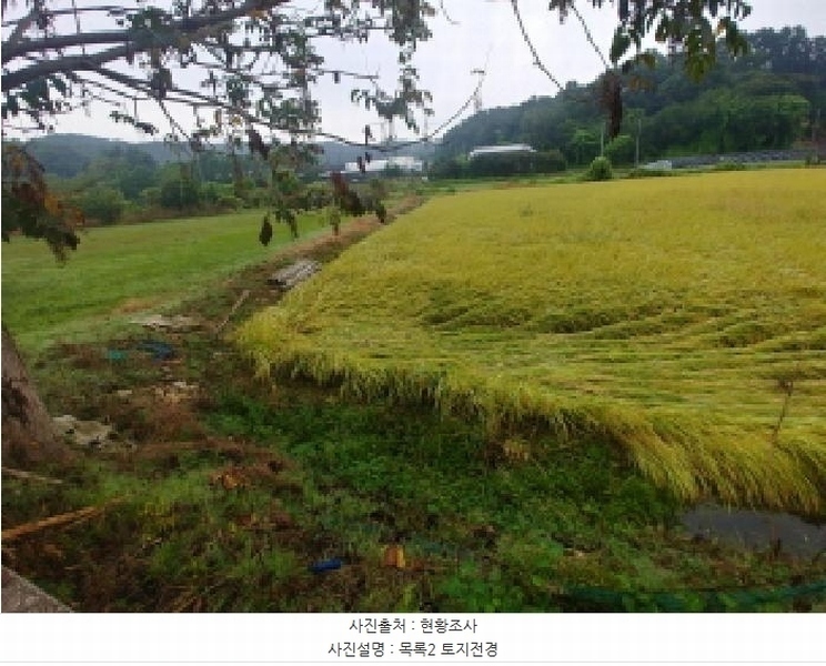 2025타경503424 충청남도 금산군 제원면 금성리 52-1 농지 경매 이미지