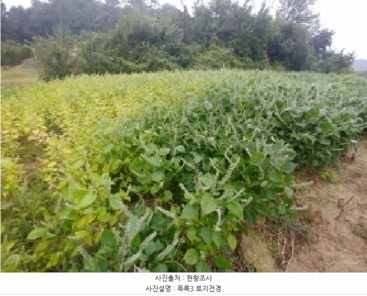2025타경503424 충청남도 금산군 제원면 금성리 52-1 농지 경매 이미지