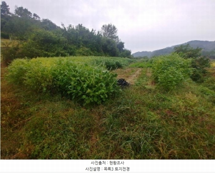 2025타경503424 충청남도 금산군 제원면 금성리 52-1 농지 경매 이미지