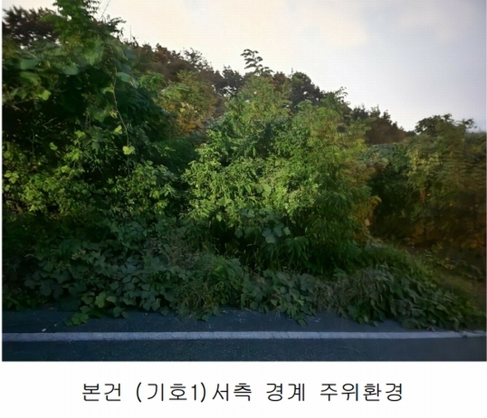 2025타경503444 세종특별자치시 장군면 대교리 74-47 임야 경매 이미지