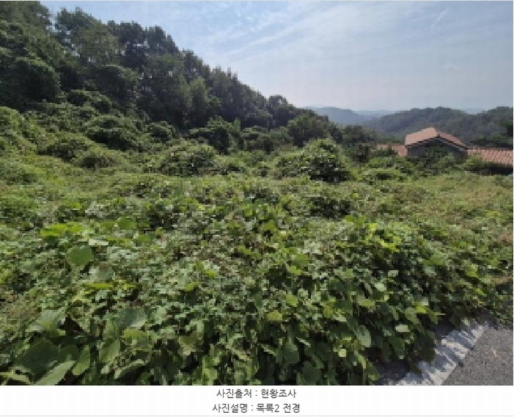 2025타경503444 세종특별자치시 장군면 대교리 74-47 임야 경매 이미지
