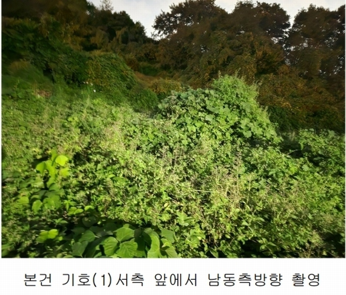 2025타경503444 세종특별자치시 장군면 대교리 74-47 임야 경매 이미지