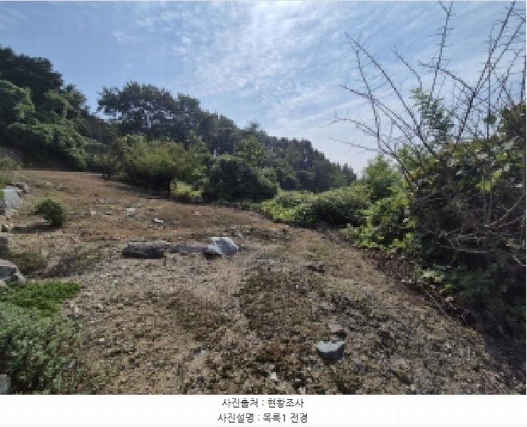 2025타경503444 세종특별자치시 장군면 대교리 74-47 임야 경매 이미지