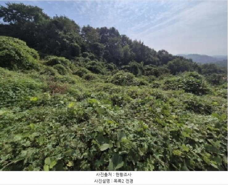 2025타경503444 세종특별자치시 장군면 대교리 74-47 임야 경매 이미지