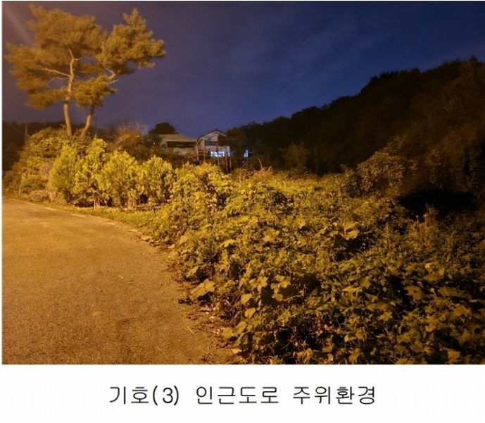 2025타경503444 세종특별자치시 장군면 대교리 74-47 임야 경매 이미지