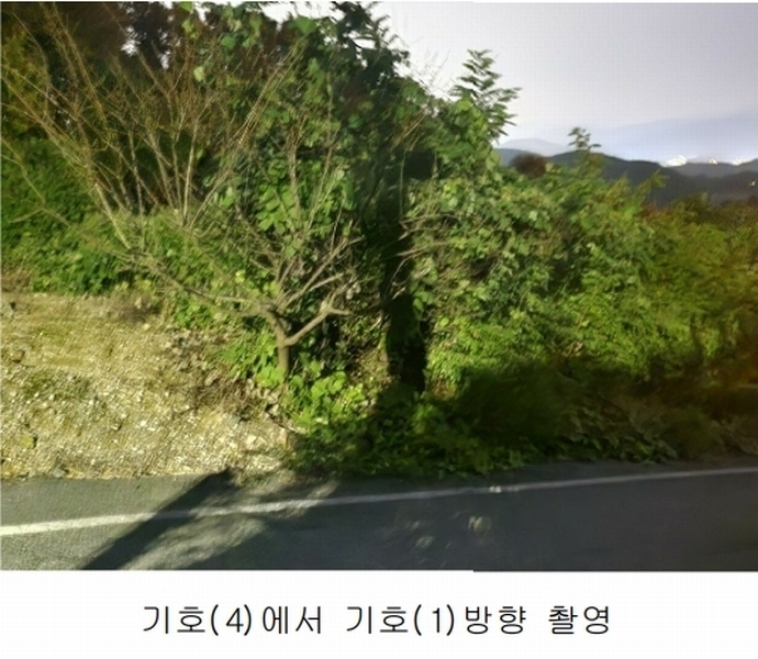 2025타경503444 세종특별자치시 장군면 대교리 74-47 임야 경매 이미지