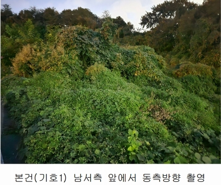 2025타경503444 세종특별자치시 장군면 대교리 74-47 임야 경매 이미지