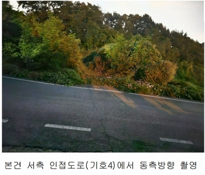 2025타경503444 세종특별자치시 장군면 대교리 74-47 임야 경매 이미지