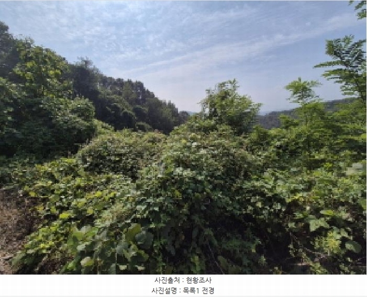 2025타경503444 세종특별자치시 장군면 대교리 74-47 임야 경매 이미지