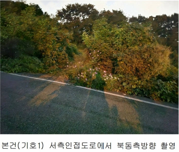 2025타경503444 세종특별자치시 장군면 대교리 74-47 임야 경매 이미지