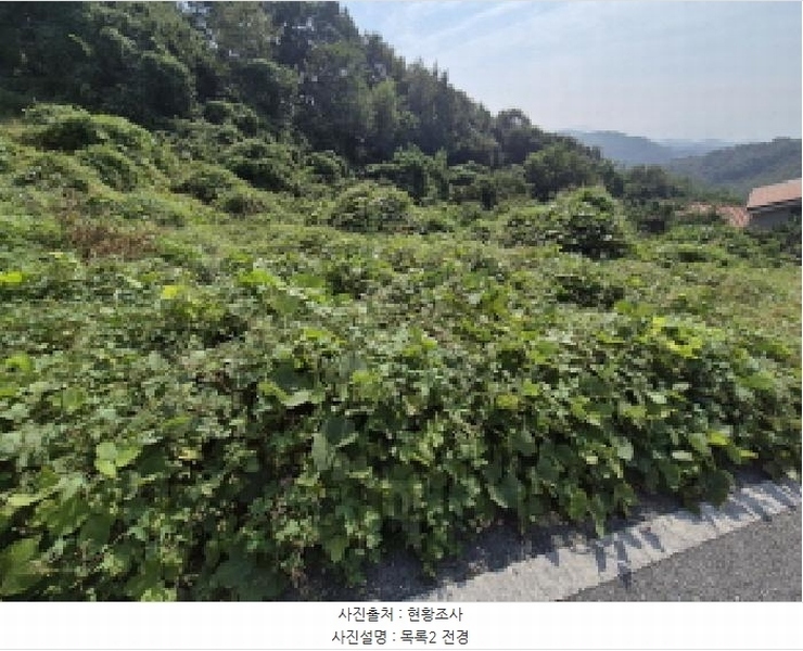 2025타경503444 세종특별자치시 장군면 대교리 74-47 임야 경매 이미지
