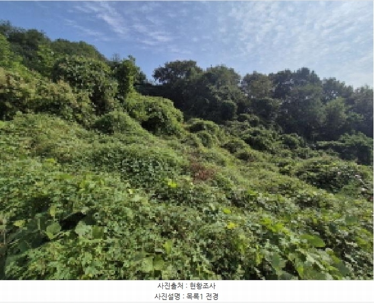 2025타경503444 세종특별자치시 장군면 대교리 74-47 임야 경매 이미지