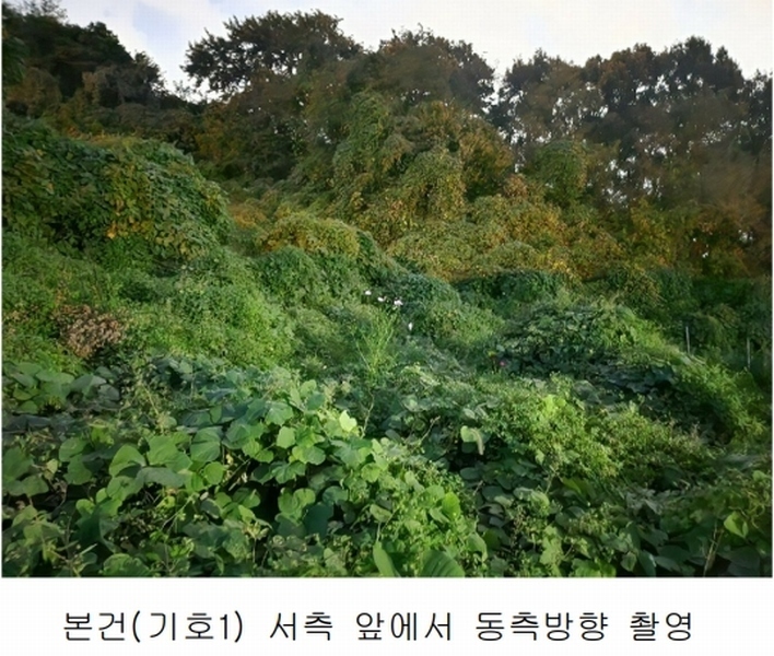 2025타경503444 세종특별자치시 장군면 대교리 74-47 임야 경매 이미지