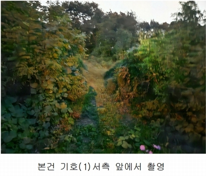 2025타경503444 세종특별자치시 장군면 대교리 74-47 임야 경매 이미지