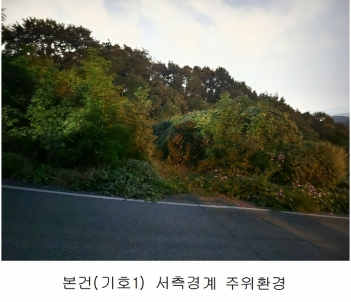 2025타경503444 세종특별자치시 장군면 대교리 74-47 임야 경매 이미지