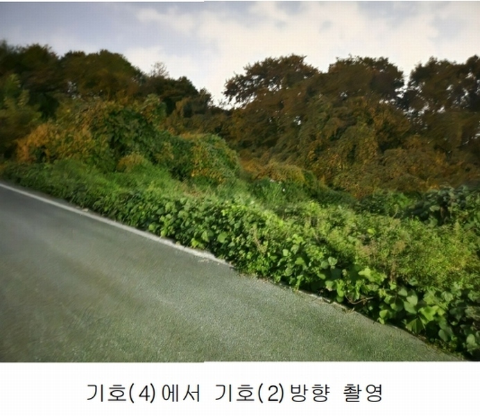 2025타경503444 세종특별자치시 장군면 대교리 74-47 임야 경매 이미지