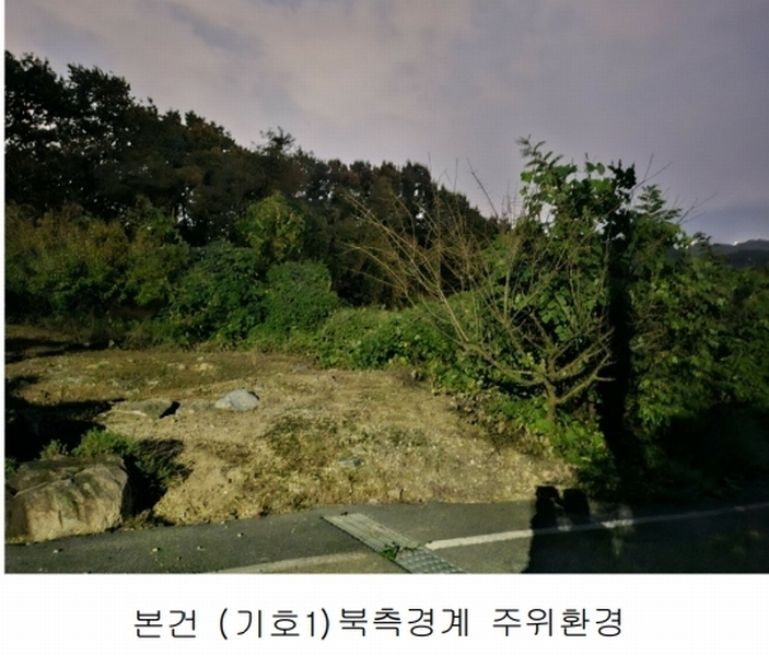 2025타경503444 세종특별자치시 장군면 대교리 74-47 임야 경매 이미지