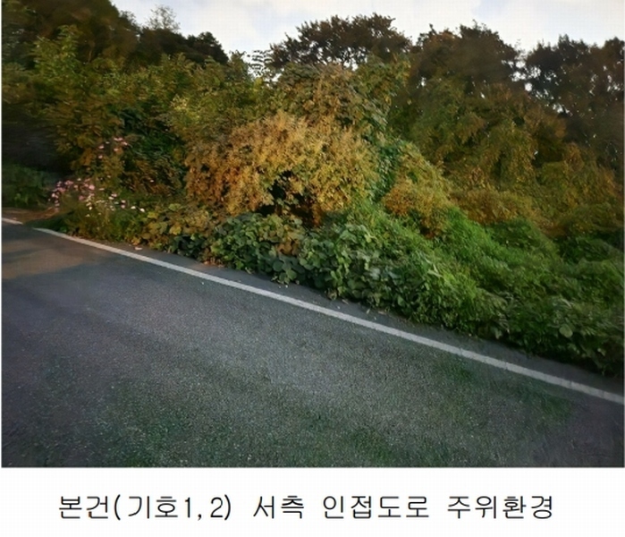 2025타경503444 세종특별자치시 장군면 대교리 74-47 임야 경매 이미지