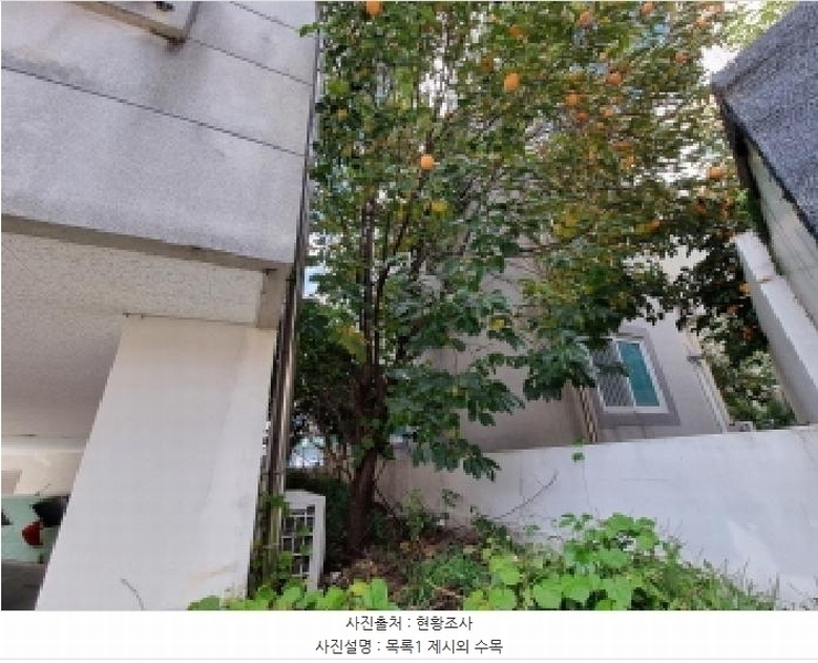 2025타경503574 대전광역시 서구 괴정동 65-17 근린주택 경매 이미지