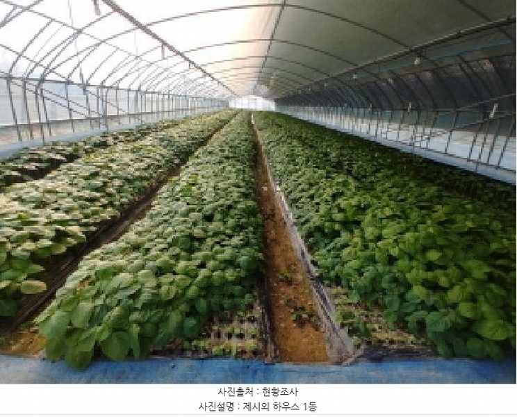 2025타경503724 충청남도 금산군 남일면 덕천리 109 농지 경매 이미지