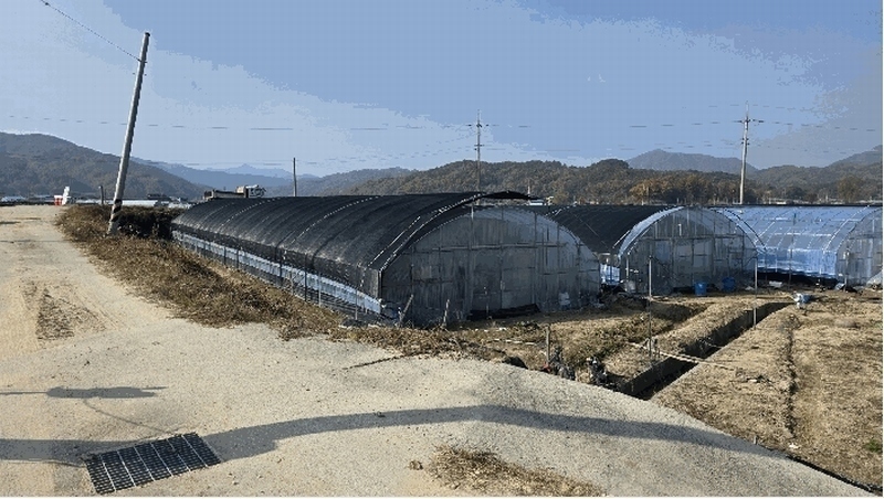 2025타경503724 충청남도 금산군 남일면 덕천리 109 농지 경매 이미지