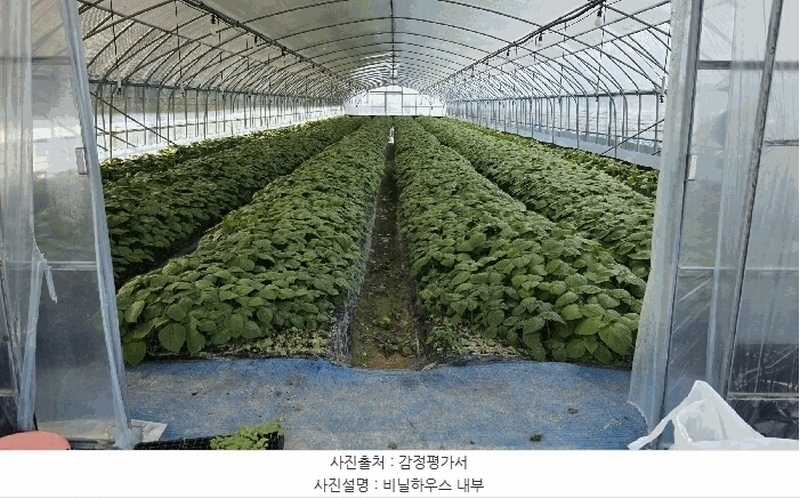 2025타경503724 충청남도 금산군 남일면 덕천리 109 농지 경매 이미지