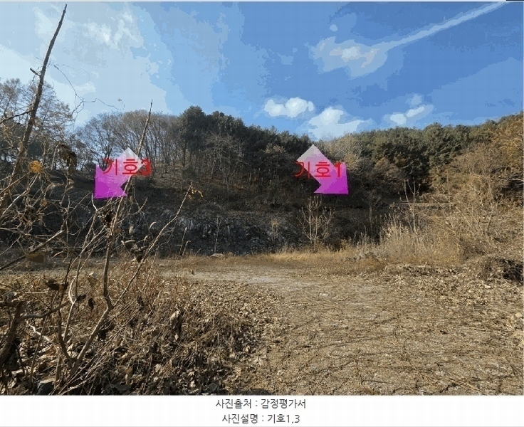 2025타경503797 충청남도 금산군 진산면 읍내리 731 농지 경매 이미지