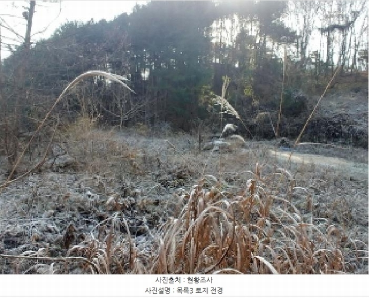 2025타경503797 충청남도 금산군 진산면 읍내리 731 농지 경매 이미지