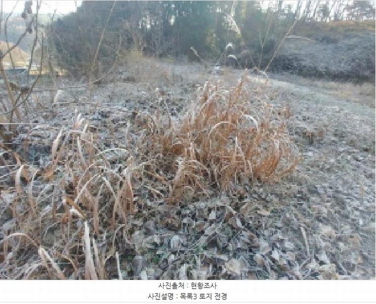 2025타경503797 충청남도 금산군 진산면 읍내리 731 농지 경매 이미지