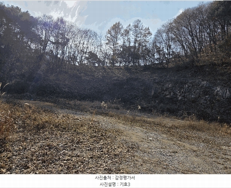 2025타경503797 충청남도 금산군 진산면 읍내리 731 농지 경매 이미지