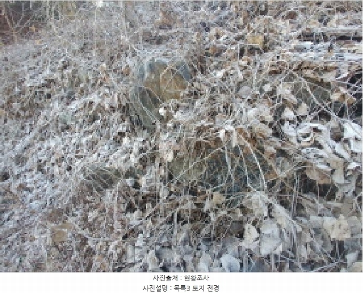 2025타경503797 충청남도 금산군 진산면 읍내리 731 농지 경매 이미지