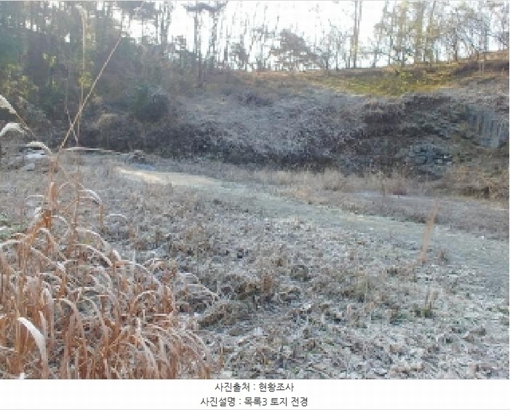2025타경503797 충청남도 금산군 진산면 읍내리 731 농지 경매 이미지