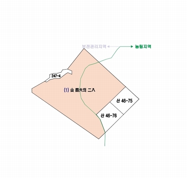 2024타경11375 세종특별자치시 장군면 대교리 산46-28 임야 경매 이미지