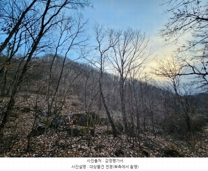 2024타경11375 세종특별자치시 장군면 대교리 산46-28 임야 경매 이미지