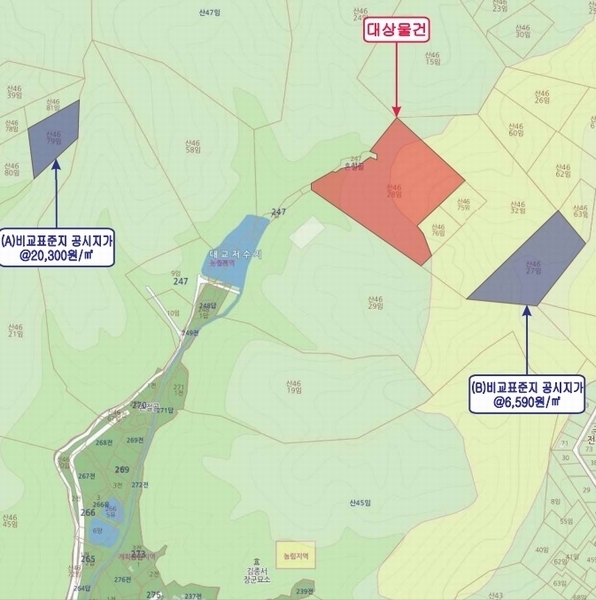 2024타경11375 세종특별자치시 장군면 대교리 산46-28 임야 경매 이미지