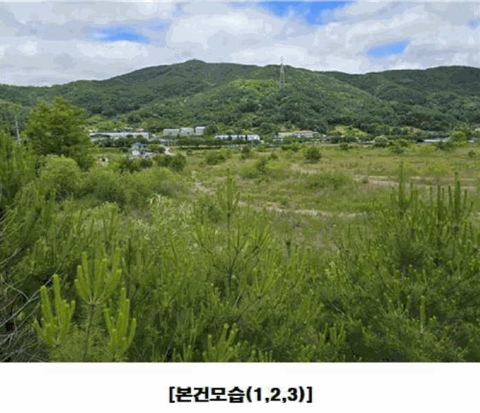 2025타경502441 충청남도 금산군 군북면 동편리 산26-1 임야 경매 이미지