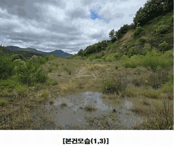 2025타경502441 충청남도 금산군 군북면 동편리 산26-1 임야 경매 이미지