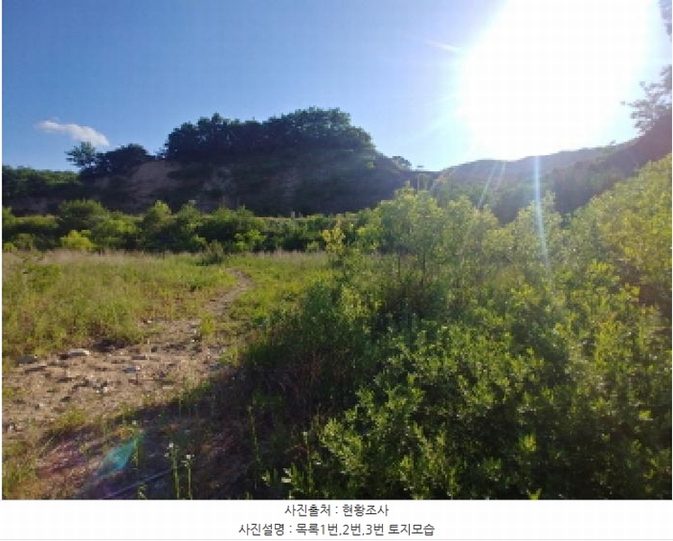 2025타경502441 충청남도 금산군 군북면 동편리 산26-1 임야 경매 이미지