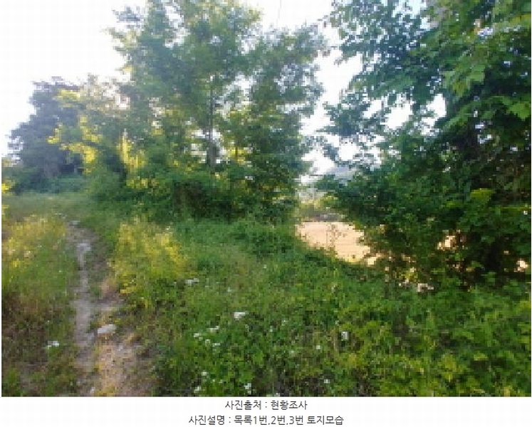 2025타경502441 충청남도 금산군 군북면 동편리 산26-1 임야 경매 이미지