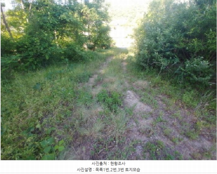 2025타경502441 충청남도 금산군 군북면 동편리 산26-1 임야 경매 이미지