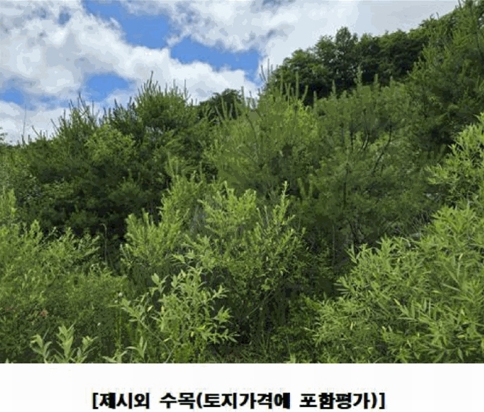 2025타경502441 충청남도 금산군 군북면 동편리 산26-1 임야 경매 이미지