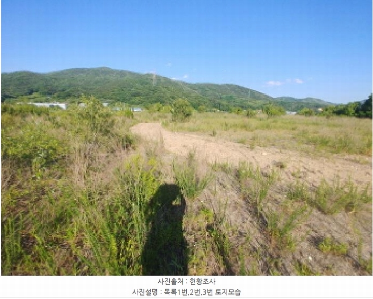 2025타경502441 충청남도 금산군 군북면 동편리 산26-1 임야 경매 이미지