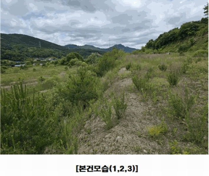 2025타경502441 충청남도 금산군 군북면 동편리 산26-1 임야 경매 이미지