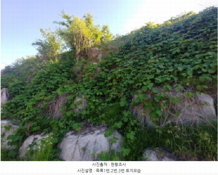 2025타경502441 충청남도 금산군 군북면 동편리 산26-1 임야 경매 이미지