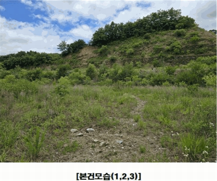 2025타경502441 충청남도 금산군 군북면 동편리 산26-1 임야 경매 이미지