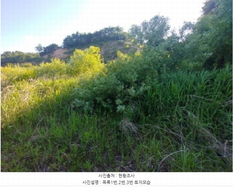 2025타경502441 충청남도 금산군 군북면 동편리 산26-1 임야 경매 이미지