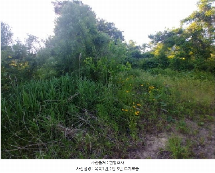 2025타경502441 충청남도 금산군 군북면 동편리 산26-1 임야 경매 이미지